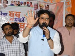 Congress Busy Fighting Over the Chair, Punjab’s Real Issues Completely Ignored: Akshay Sharma